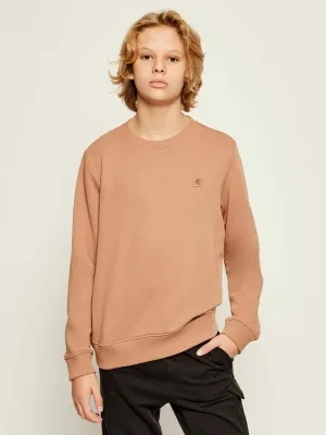 Calvin Klein Jeans Bluza | Regular Fit