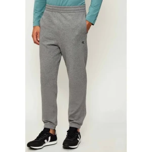 Calvin Klein Jeans Spodnie dresowe | Regular Fit