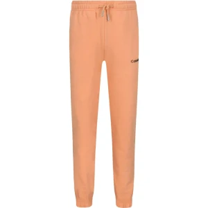 Calvin Klein Jeans Spodnie dresowe | Regular Fit