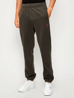Calvin Klein Jeans Spodnie dresowe | Regular Fit