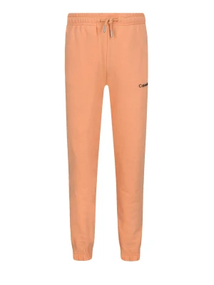 Calvin Klein Jeans Spodnie dresowe | Regular Fit