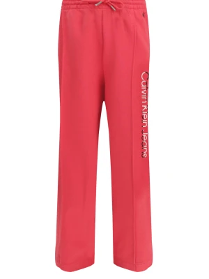 Calvin Klein Jeans Spodnie dresowe | Regular Fit