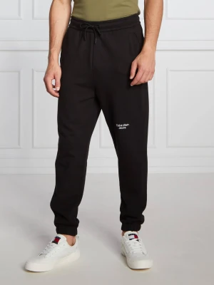 Calvin Klein Jeans Spodnie dresowe | Regular Fit czarny
