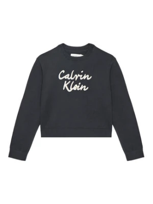 Calvin Klein Jeans Sweter IG0IG02971 D Czarny Regular Fit