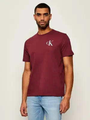 Calvin Klein Jeans T-shirt | Regular Fit