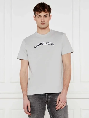 Calvin Klein Jeans T-shirt | Regular Fit szary