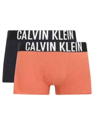 Calvin Klein Underwear Bokserki 2-pack