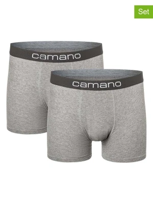 camano Bokserki (2 pary) w kolorze szarym rozmiar: L