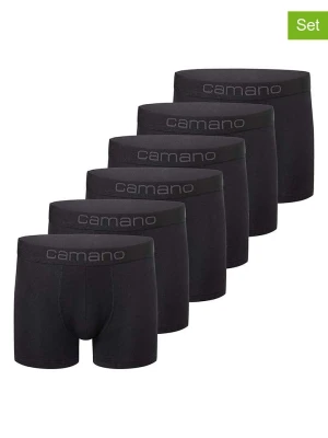 camano Bokserki (6 par) w kolorze czarnym rozmiar: M