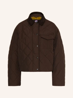 Canada Goose Kurtka Pikowana Terra braun CIEMNOBRĄZOWY