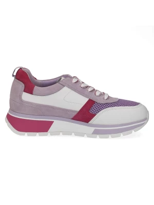 Caprice Sneakersy "Vanessa" w kolorze różowo-lawendowym rozmiar: 36