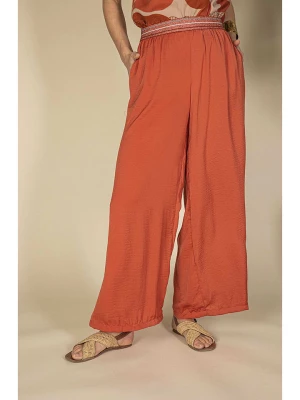 Captain Tortue Spodnie w kolorze pomarańczowym rozmiar: 38