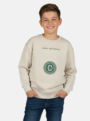 Cars Bluza "Defend" w kolorze beżowym rozmiar: 140