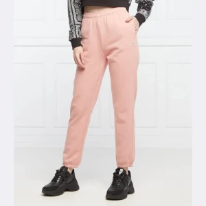Champion Spodnie dresowe | Regular Fit