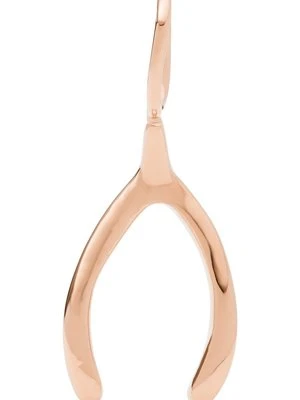 Charms Fossil