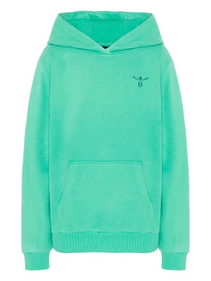 Chiemsee Bluza w kolorze zielonym rozmiar: 170/176