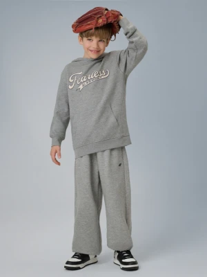 Chłopięce spodnie dresowe 4F 4FJRSS26TTROM1731 - szare 4F JUNIOR