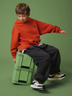 Chłopięce spodnie dresowe joggery 4F 4FJRSS26TTROM1896 - szare 4F JUNIOR