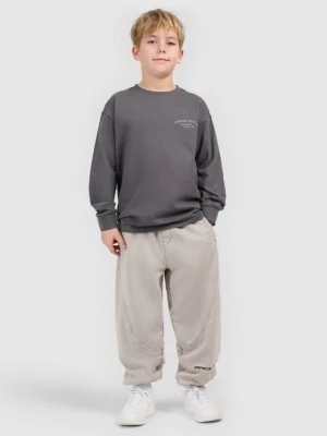 Chłopięcy longsleeve z nadrukiem 4f 4FJWSS26TLONM535 - szary 4F JUNIOR
