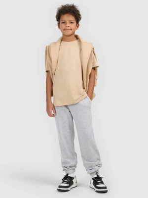 Chłopięcy t-shirt regular 4F 4FJWSS26TTSHM3006 - beżowy 4F JUNIOR