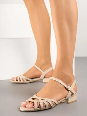 Ciemnobeżowe Sandały ze Skórzaną Wkładką i Ozdobnymi Paskami Arvisenna goodin