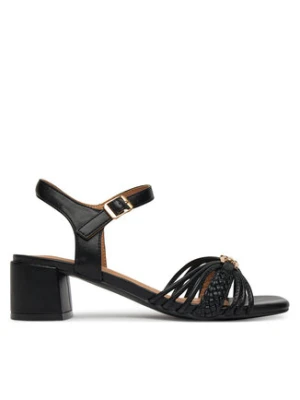 Clara Barson Sandały WS24055-05