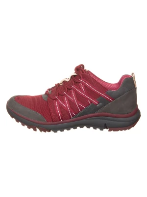 Clarks Buty trekkingowe "Tri Trail" w kolorze czerwonym rozmiar: 39,5