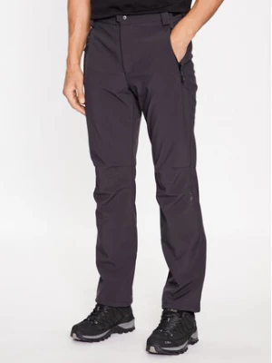 CMP Spodnie outdoor A01487-N Szary Regular Fit