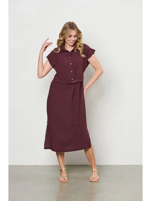 &Co Woman Sukienka "Elianna" w kolorze fioletowym rozmiar: XXL