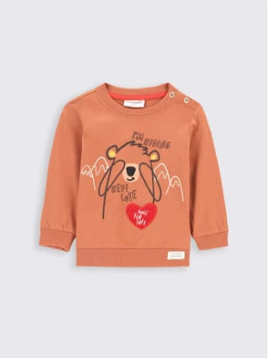 Coccodrillo Bluzka ZC2143102TRN Brązowy Regular Fit