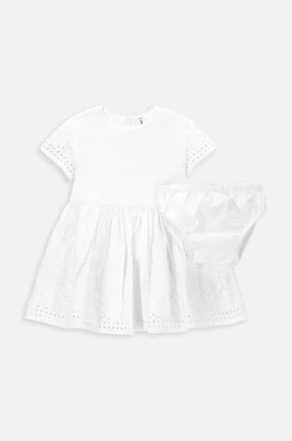 Coccodrillo sukienka bawełniana niemowlęca kolor biały mini rozkloszowana