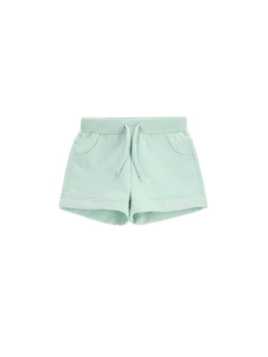 Coccodrillo Szorty sportowe WC5120401VGC Zielony Regular Fit