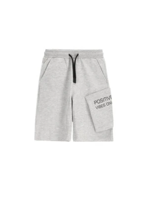 Coccodrillo Szorty sportowe WC5120501VBC Szary Regular Fit