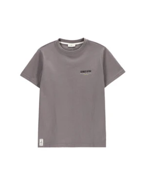 Coccodrillo T-Shirt WC5143206VBB Szary Regular Fit