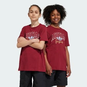 Collegiate Graphic Pack BF Tee Adidas