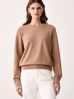 Colmar bluza damska z modalem brązowy