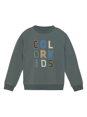 Color Kids Bluza w kolorze szarym rozmiar: 116