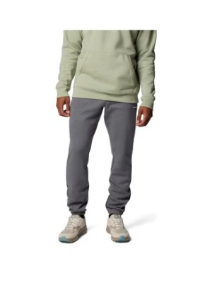 Columbia Spodnie dresowe Meridian Creek™ 2105861 Szary Regular Fit