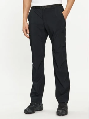 Columbia Spodnie outdoor Silver Ridge™ 2012952 Czarny Straight Fit