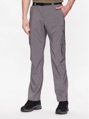 Columbia Spodnie outdoor Silver Ridge™ 2012952 Szary Regular Fit