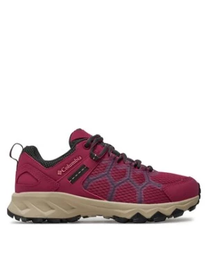 Columbia Trekkingi Peakfreak III 2027301 Bordowy