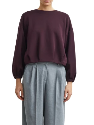 comma Bluza Kobiety lila
