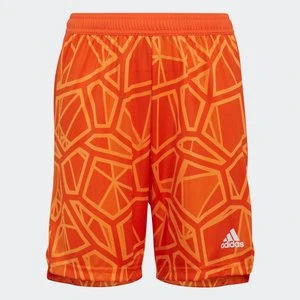 Condivo 22 Goalkeeper Shorts Adidas