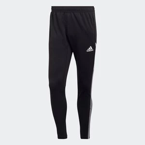 Condivo 22 Training Pants Adidas