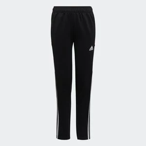 Condivo 22 Training Pants Adidas