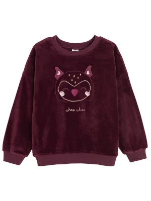 COOL CLUB Bluza w kolorze ciemnoczerwonym rozmiar: 110