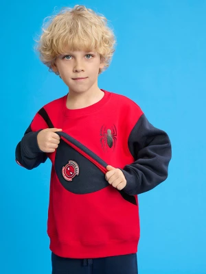 COOL CLUB Bluza w kolorze czerwono-granatowym rozmiar: 128