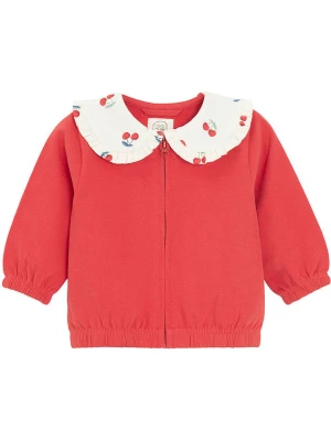 COOL CLUB Bluza w kolorze czerwonym rozmiar: 92
