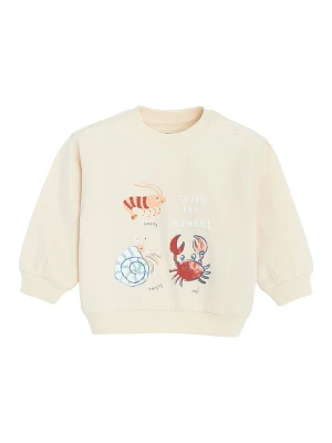 COOL CLUB Bluza w kolorze kremowym rozmiar: 86
