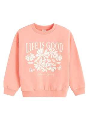 COOL CLUB Bluza w kolorze pomarańczowym rozmiar: 116